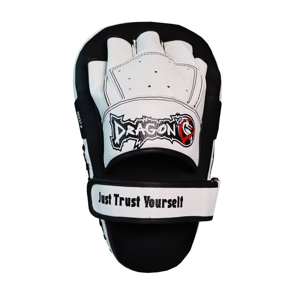 DragonDo 40237-P Target-Handschuh-Boxtrainingspads (Paar)