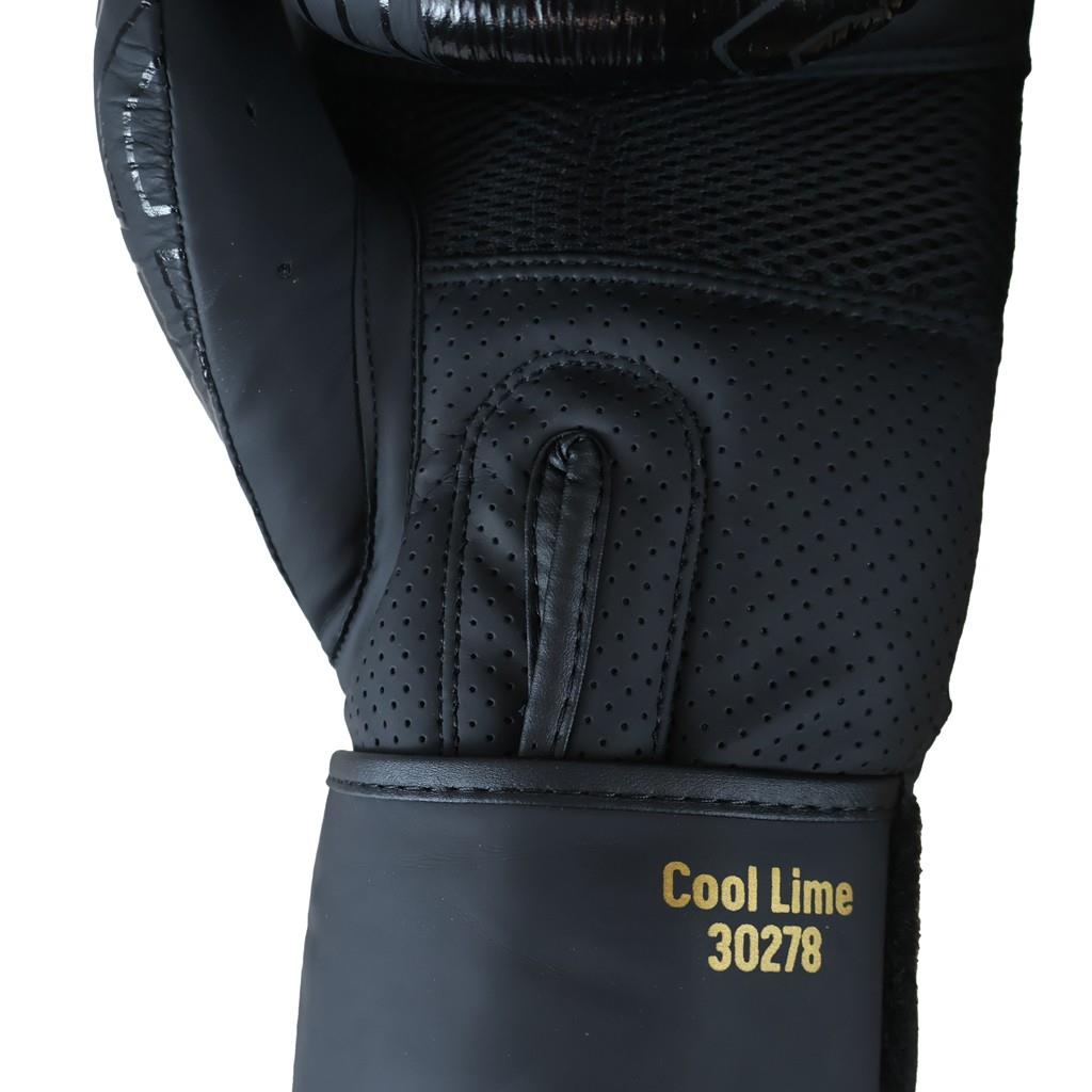 DragonDo 30213-L Cool Lime II Boxhandschuhe aus echtem Leder – Trainingshandschuhe für Boxen, Kickboxen und Muay Thai